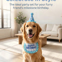 Pet Birthday Hat and Bib Set | Cute Cat & Dog Birthday Party Outfit