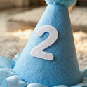 Pet Birthday Hat and Bib Set | Cute Cat & Dog Birthday Party Outfit