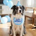 Pet Birthday Hat and Bib Set | Cute Cat & Dog Birthday Party Outfit