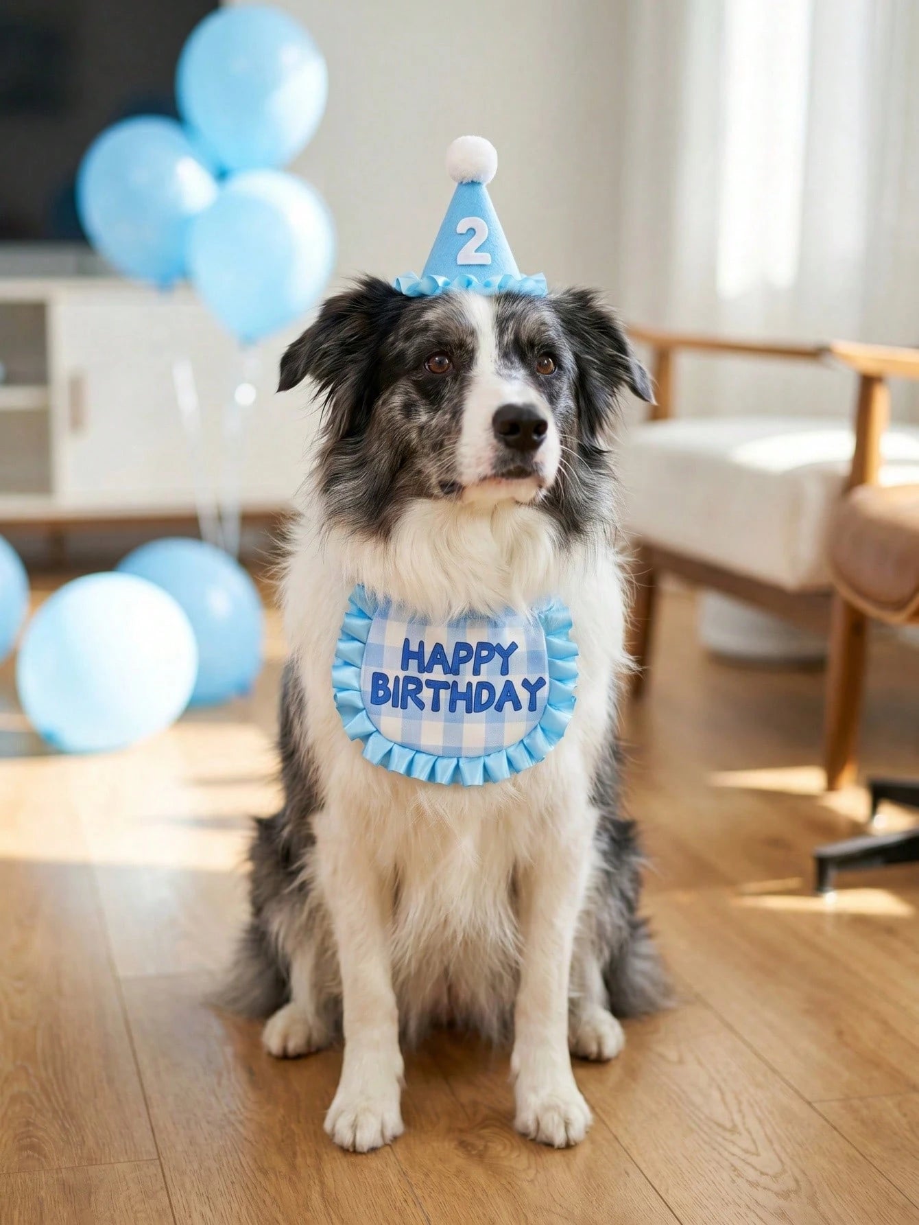 Pet Birthday Hat and Bib Set | Cute Cat & Dog Birthday Party Outfit