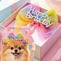 13-Piece Dog Hair Accessories Set – Birthday Bows & Flower Bands