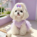 13-Piece Dog Hair Accessories Set – Birthday Bows & Flower Bands