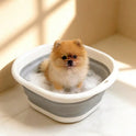 Folding Pet Basin – Collapsible Wash & Foot Basin for Cat & Dog Care, Durable Thickened Plastic