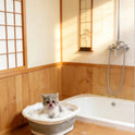Folding Pet Basin – Collapsible Wash & Foot Basin for Cat & Dog Care, Durable Thickened Plastic