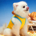 King of the House Pet Vest | Breathable Summer Shirt
