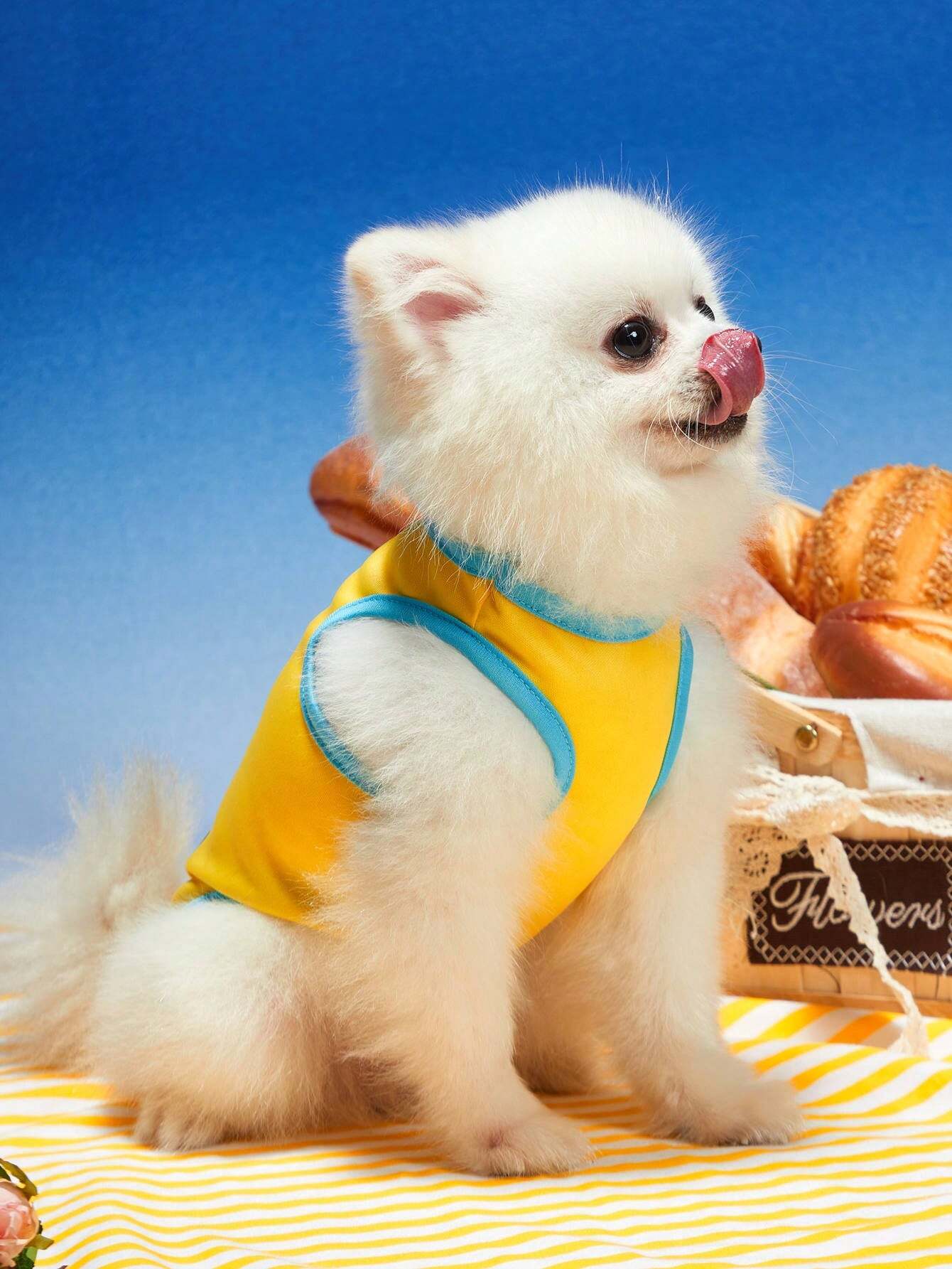 King of the House Pet Vest | Breathable Summer Shirt