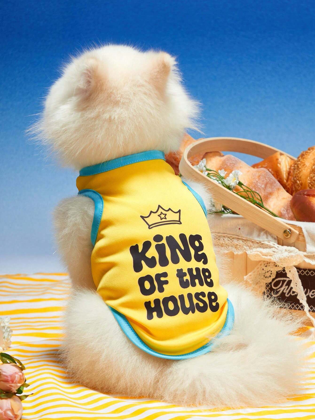 King of the House Pet Vest | Breathable Summer Shirt
