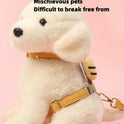 Small Dog Harness & Leash | Vest Style Walking Set for Pets