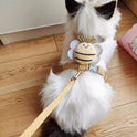 Small Dog Harness & Leash | Vest Style Walking Set for Pets