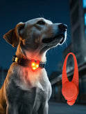 LED Dog Collar Light Waterproof Pet Safety Tag