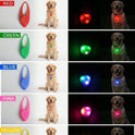LED Dog Collar Light Waterproof Pet Safety Tag