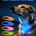 LED Dog Collar Light Waterproof Pet Safety Tag