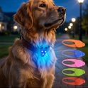 LED Dog Collar Light Waterproof Pet Safety Tag