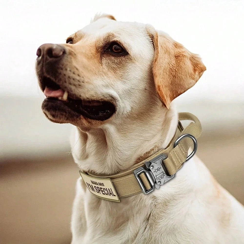 Tactical Dog Collar and Leash Set with Handle – Adjustable Training Collar for Medium & Large Dogs
