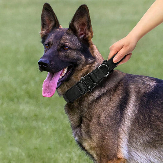 Tactical Dog Collar and Leash Set with Handle – Adjustable Training Collar for Medium & Large Dogs