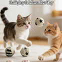 4-Piece Sisal Cat Toy Balls | Interactive Chasing Toys for Cats