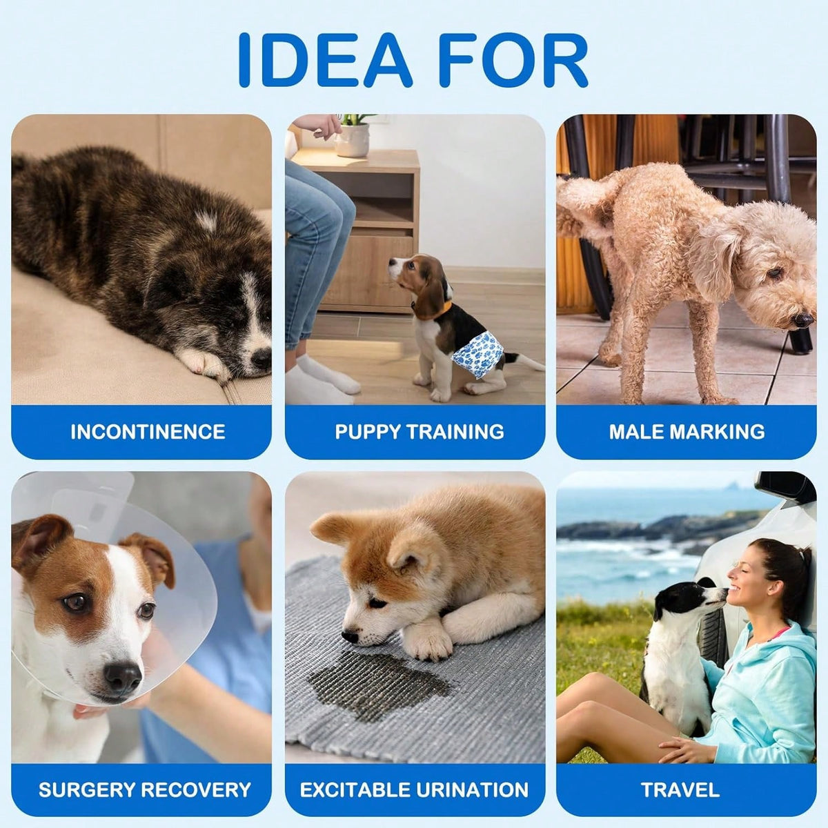 Disposable Male Dog Diapers 10-Pack | Leak-Proof Protection for Senior & Active Dogs