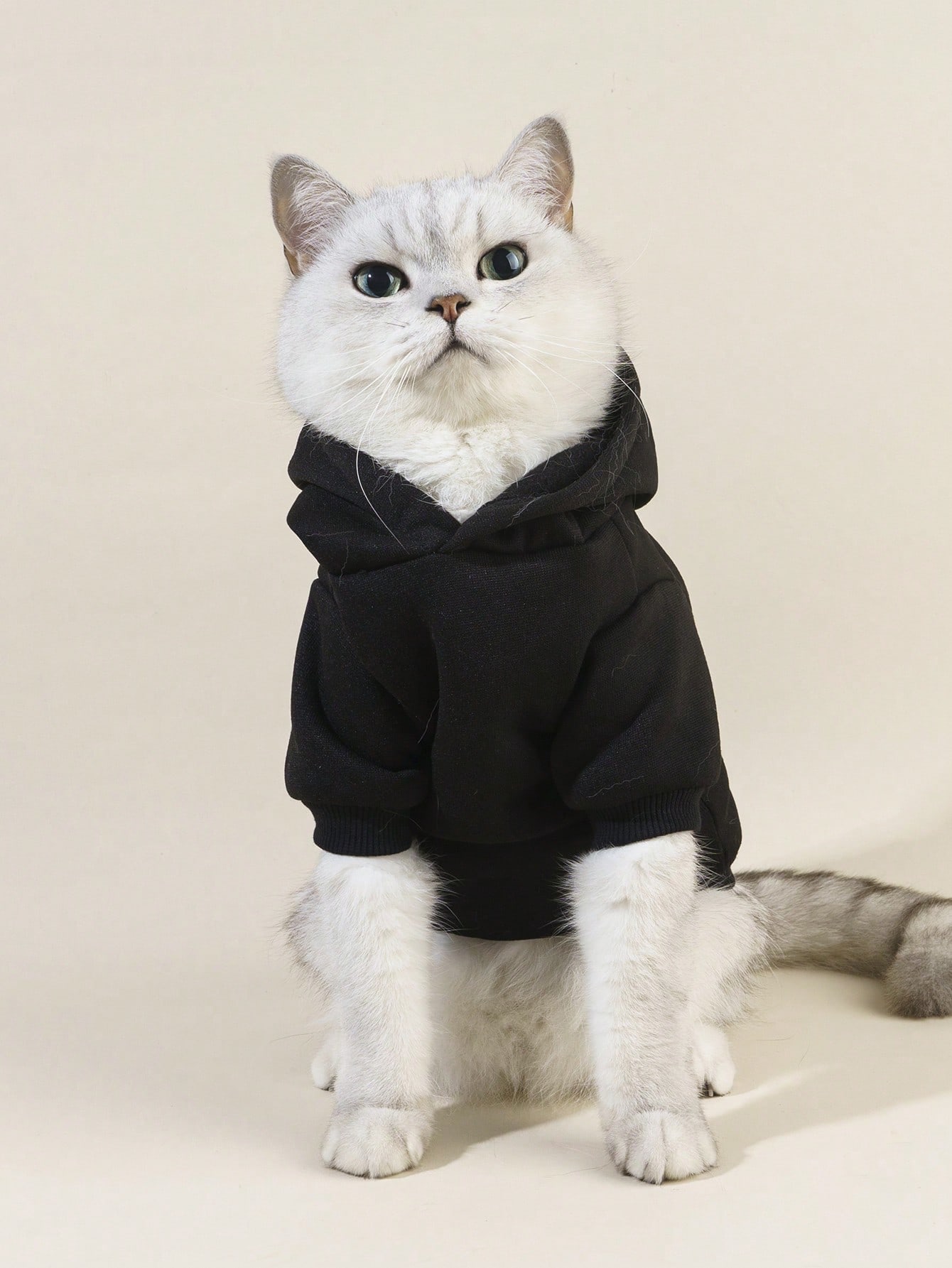 Letter Graphic Pet Hoodie for Cats & Dogs | Soft Pet Sweatshirt
