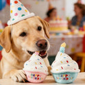 Interactive Pet Birthday Cake Toy with Sound for Dogs & Cats | Plush Birthday Party Toy