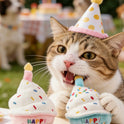 Interactive Pet Birthday Cake Toy with Sound for Dogs & Cats | Plush Birthday Party Toy