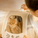 Foldable Pet Carrier Bag | Soft Travel Carrier for Cats & Small Dogs