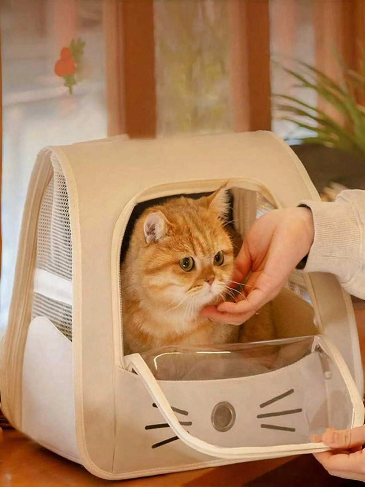 Foldable Pet Carrier Bag | Soft Travel Carrier for Cats & Small Dogs