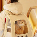 Foldable Pet Carrier Bag | Soft Travel Carrier for Cats & Small Dogs