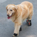 Waterproof Non-Slip Dog Boots | Protective Outdoor Paw Shoes