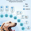 Rechargeable No-Shock Anti-Bark Collar | Smart Dog Training Collar with Beep & Vibration