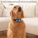 Rechargeable No-Shock Anti-Bark Collar | Smart Dog Training Collar with Beep & Vibration