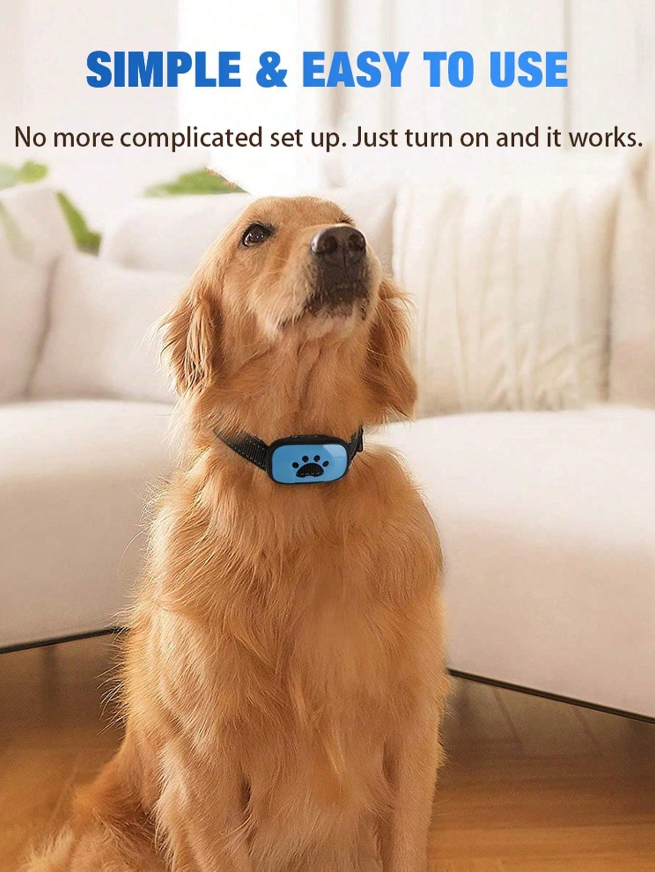 Rechargeable No-Shock Anti-Bark Collar | Smart Dog Training Collar with Beep & Vibration