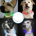 USB Rechargeable LED Dog Collar | Glowing Safety Collar for Pets