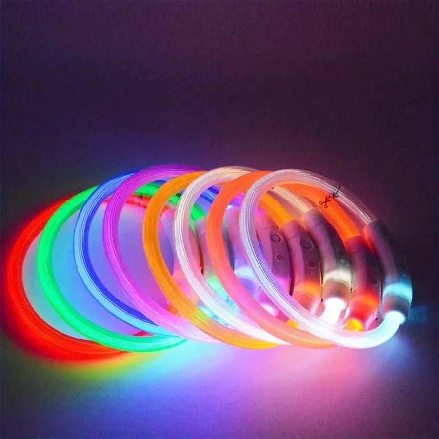 USB Rechargeable LED Dog Collar | Glowing Safety Collar for Pets