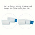 USB Rechargeable LED Dog Collar | Glowing Safety Collar for Pets