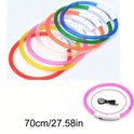 USB Rechargeable LED Dog Collar | Glowing Safety Collar for Pets