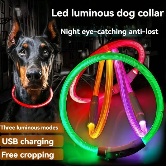 USB Rechargeable LED Dog Collar | Glowing Safety Collar for Pets