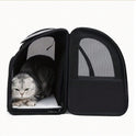 Expandable Pet Carrier Backpack with Sunshade | Cat & Dog Travel Bag