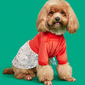 Christmas Pet Dress for Dogs & Cats – Snowman, Reindeer & Bell