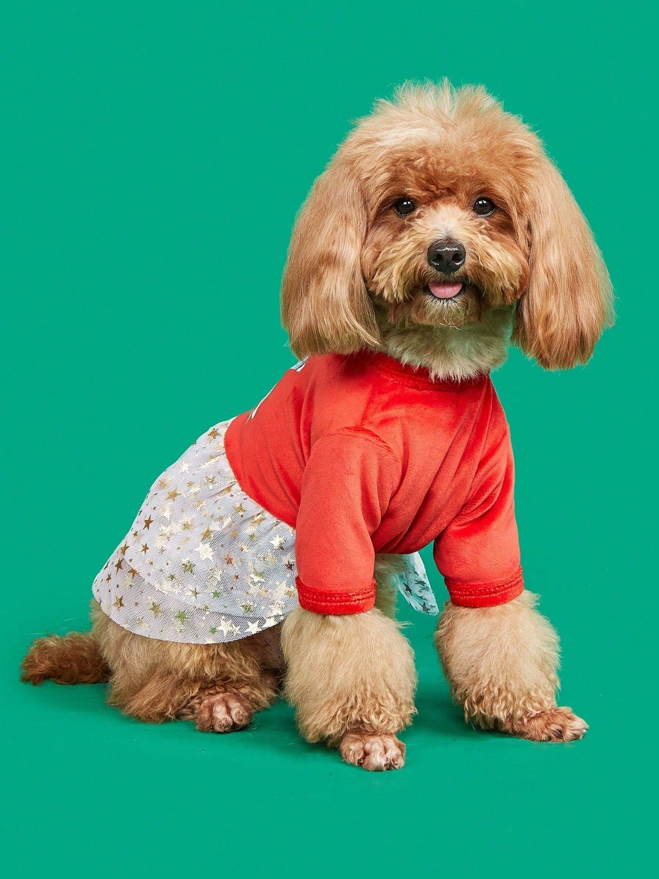 Christmas Pet Dress for Dogs & Cats – Snowman, Reindeer & Bell