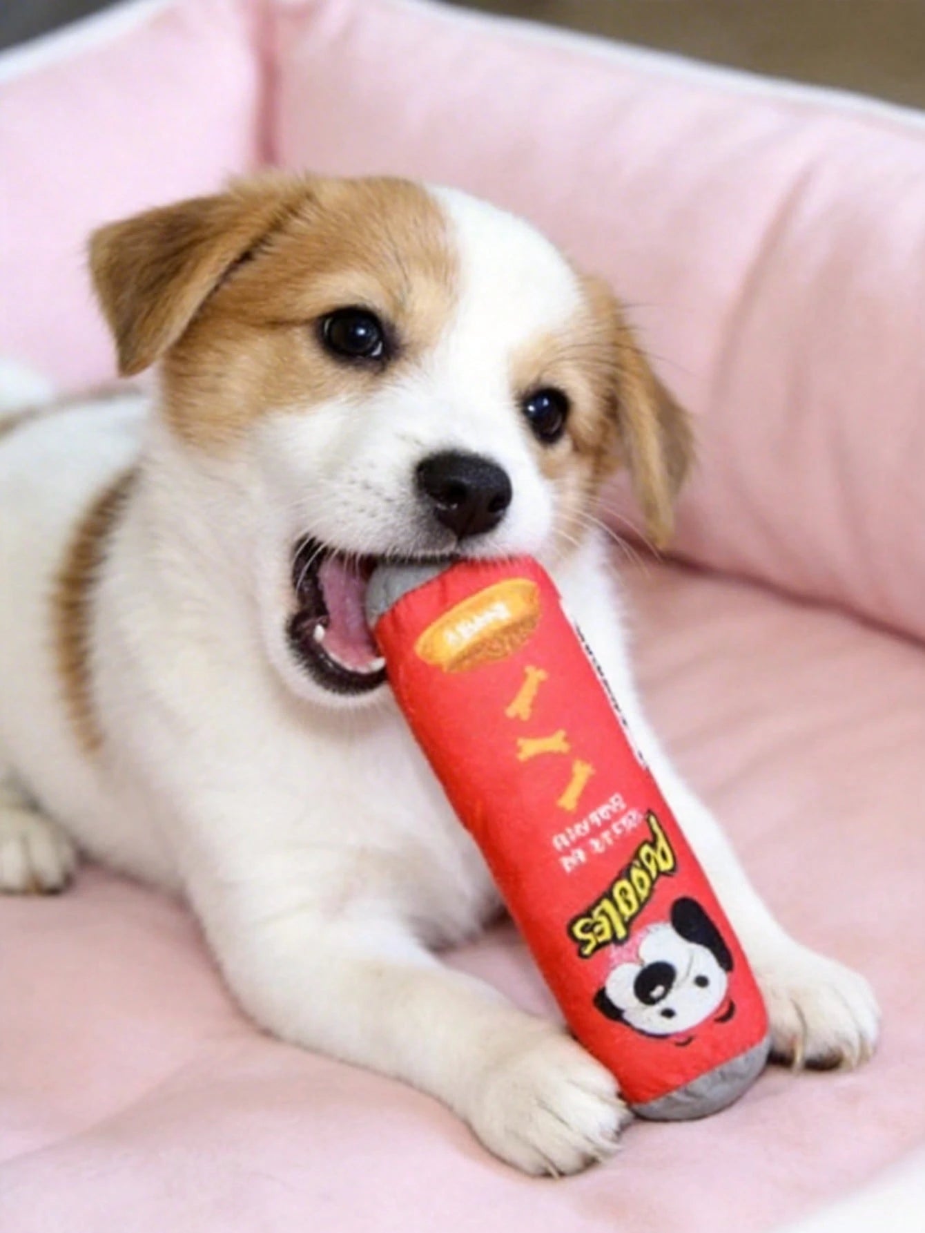 Potato Chip Plush Dog Toy with Squeaker | Interactive Chew Toy for Puppies & Small Dogs (set of 2 pieces))