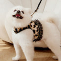 Leopard Print Cat & Dog Collar and Leash Set – Fashionable Pet Walking Set