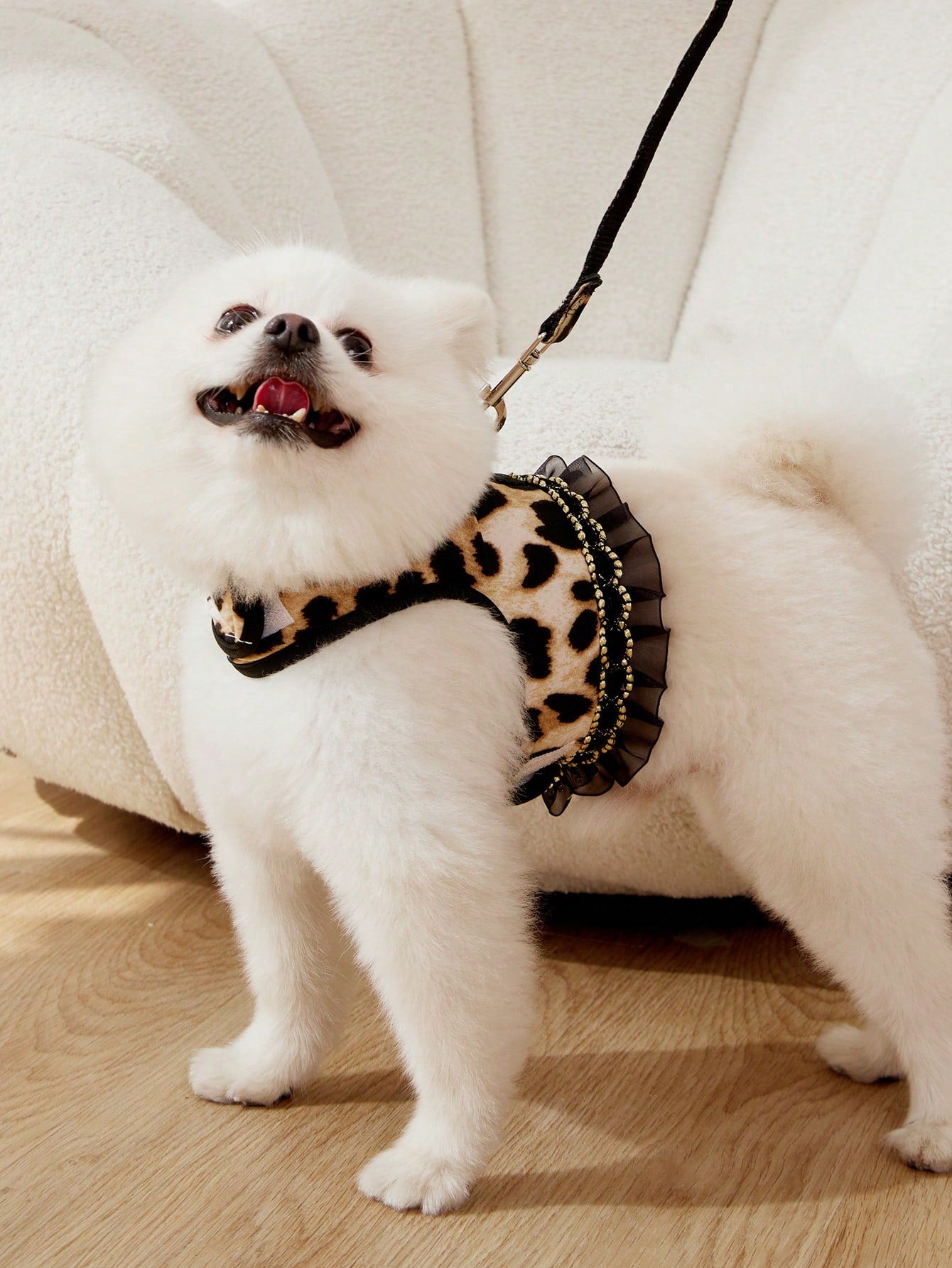 Leopard Print Cat & Dog Collar and Leash Set – Fashionable Pet Walking Set