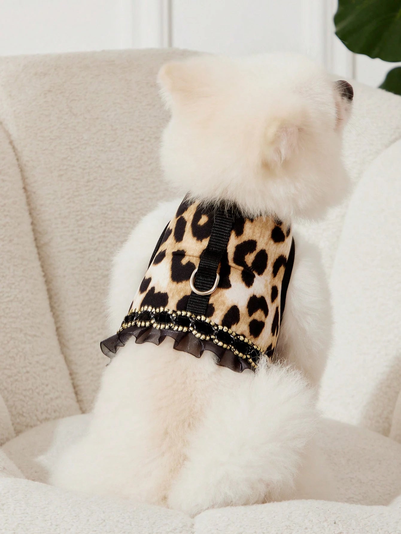 Leopard Print Cat & Dog Collar and Leash Set – Fashionable Pet Walking Set