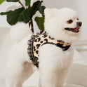 Leopard Print Cat & Dog Collar and Leash Set – Fashionable Pet Walking Set