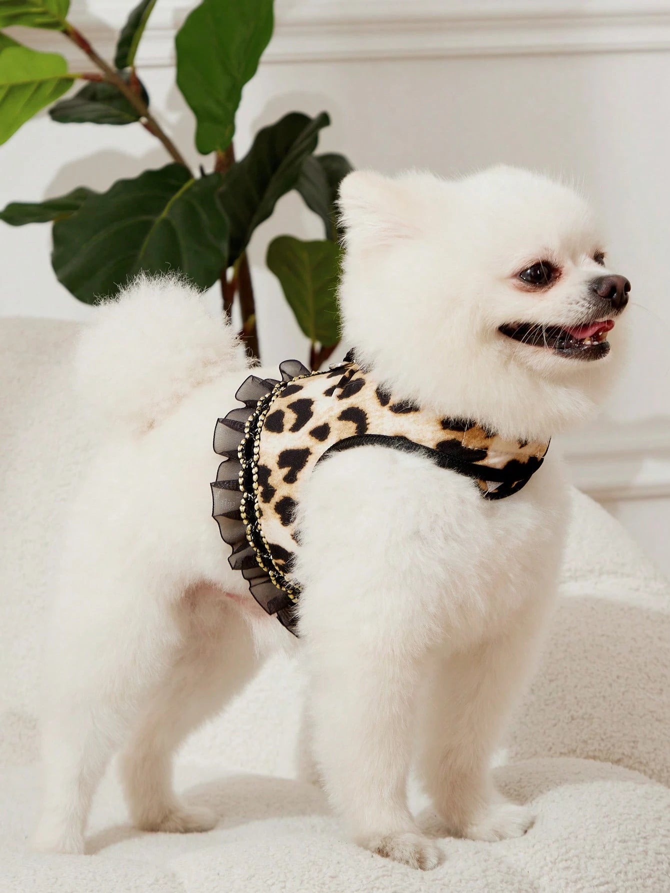 Leopard Print Cat & Dog Collar and Leash Set – Fashionable Pet Walking Set