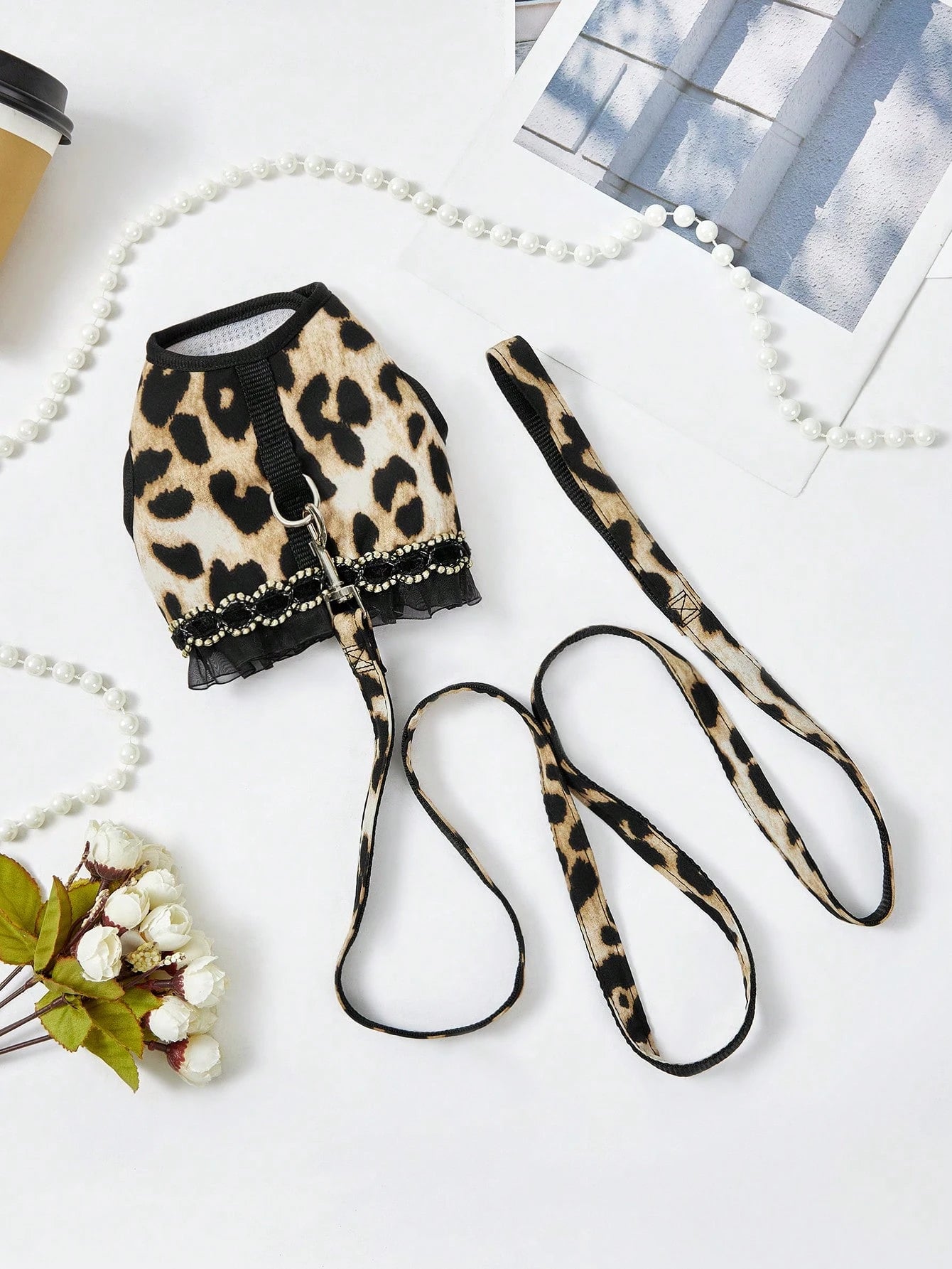 Leopard Print Cat & Dog Collar and Leash Set – Fashionable Pet Walking Set