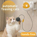 Interactive Automatic Cat Toy | Moving Ball & Hanging Teaser
