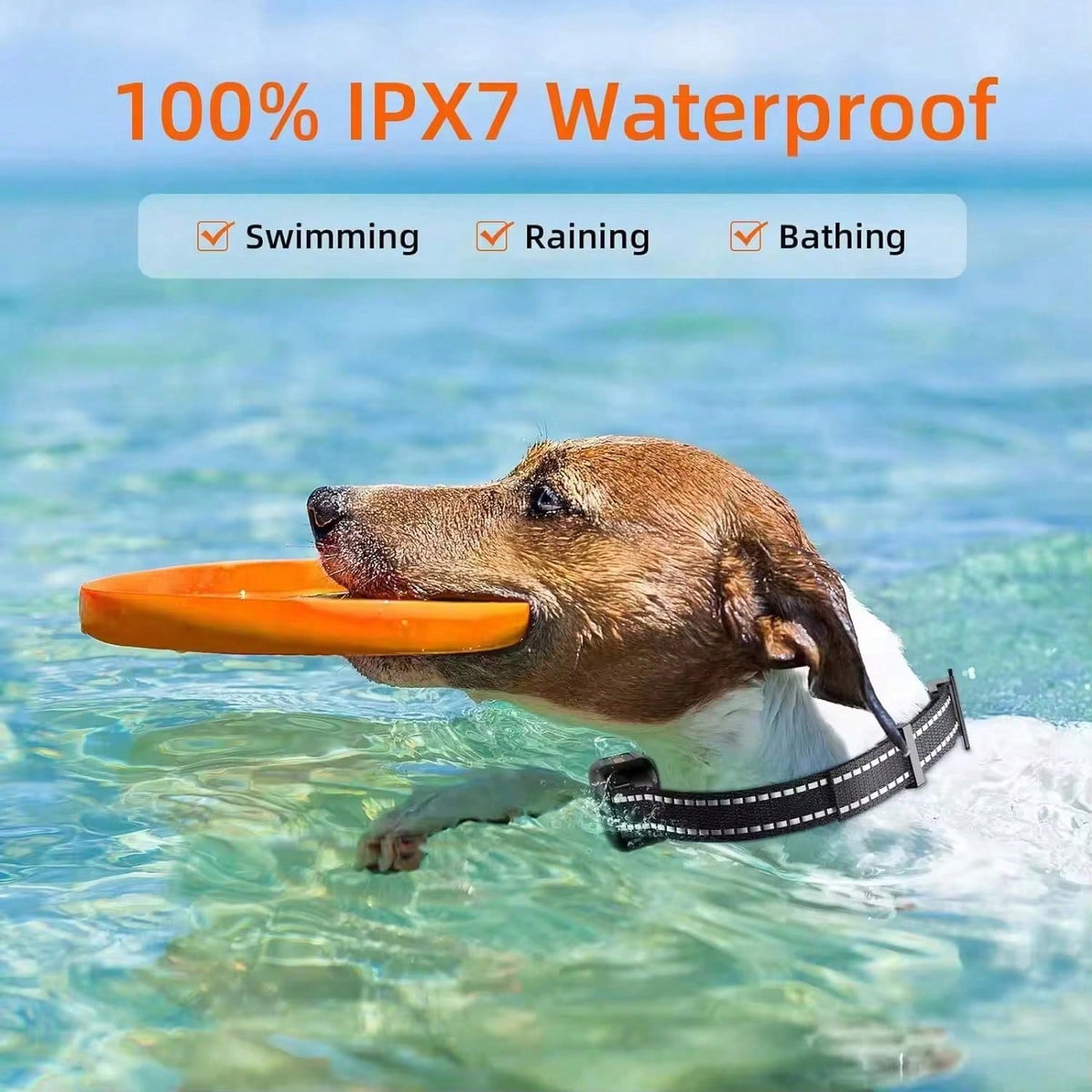 Rechargeable Waterproof Dog Training Collar | 1000m Remote Range