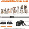 Rechargeable Waterproof Dog Training Collar | 1000m Remote Range