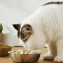 Tilted Stainless Steel Pet Bowl with Stand | Anti-Spill Cat & Dog Feeder